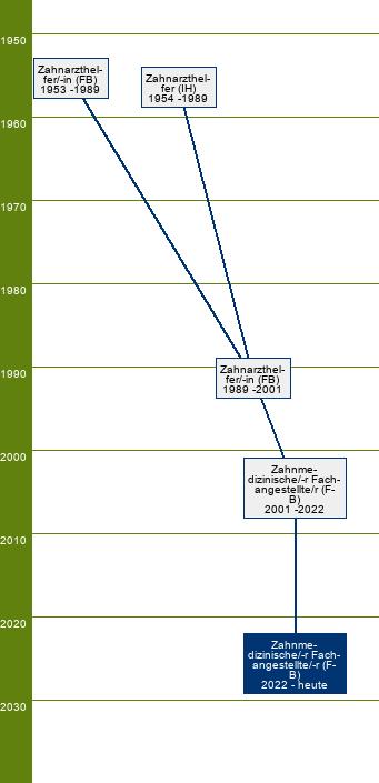 Stammbaum Zahnmedizinischer Fachangestellter/Zahnmedizinische Fachangestellte 