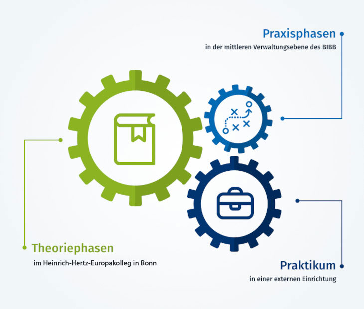 Die 3 Phasen der Ausbildung