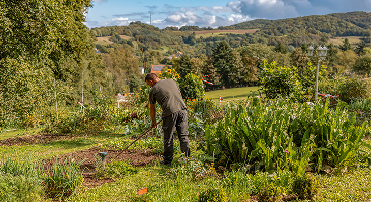 Gärtner arbeitet im Garten 