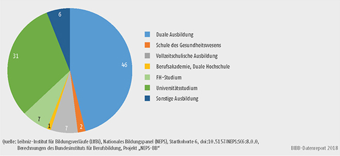 Schaubild A11.4-2: Art der begonnenen Ausbildung von Personen ohne Berufsabschluss (nfQ) (in %)