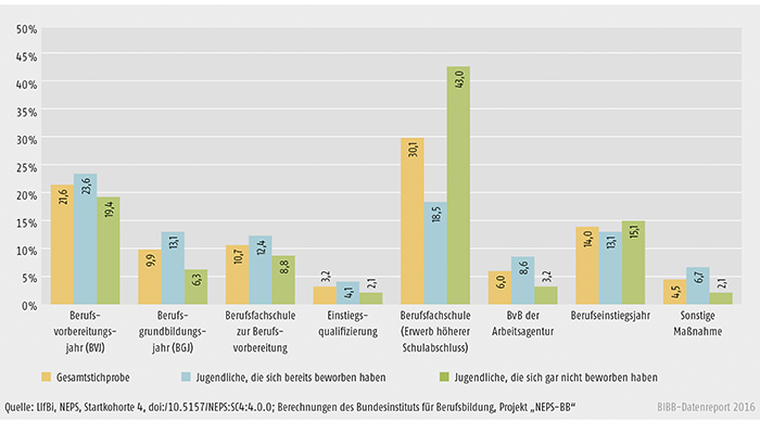 Schaubild A3.3-3: Art der besuchten Übergangsmaßnahme (in %)