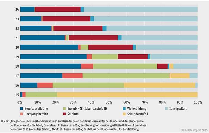 Schaubild A 6.1-2: Jugendliche in den Sektoren der iABE nach Alter 2013 (in %) (Bestandsdaten; 100 % = Wohnbevölkerung im jeweiligen Alter)