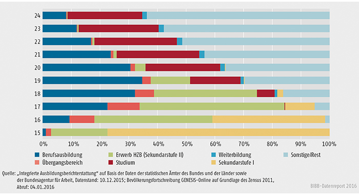 Schaubild A6.1-2: Jugendliche in den Sektoren der iABE nach Alter 2014 (in %) (Bestandsdaten; 100 % = Wohnbevölkerung im jeweiligen Alter)