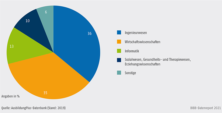 Schaubild A6.3-2: Verteilung dualer Studiengänge nach Fachrichtungen in der Erstausbildung 2019 (in %)