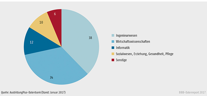 Schaubild A6.3-3: Fachrichtungen dualer Studiengänge in der Erstausbildung 2016 (in %)