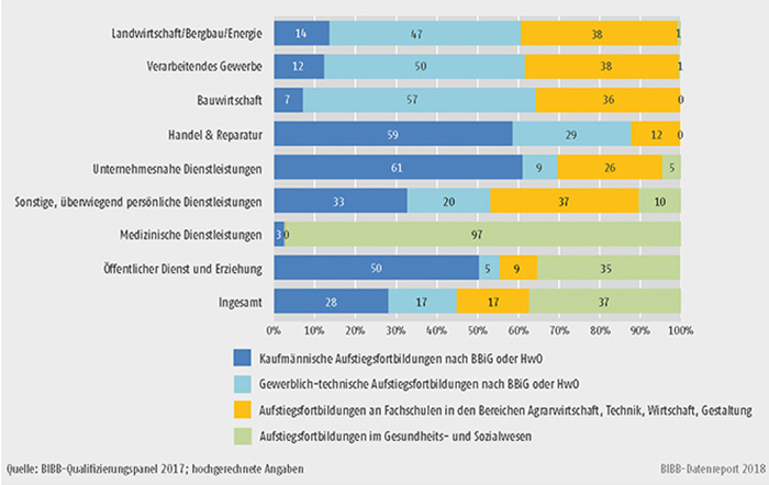 B1.2.3-3: Verteilung der Teilnehmer/-innen an Aufstiegsfortbildungen im Jahr 2017 nach Fachrichtungen und Wirtschaftszweigen (in %)