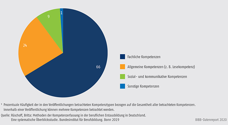 Schaubild C2.1.2-3: Häufigkeit der in den Veröffentlichungen betrachteten Kompetenztypen (in %)