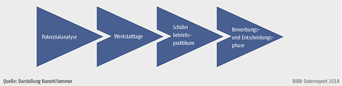 Schaubild C2.3.-2: Phasen der Berufsorientierung