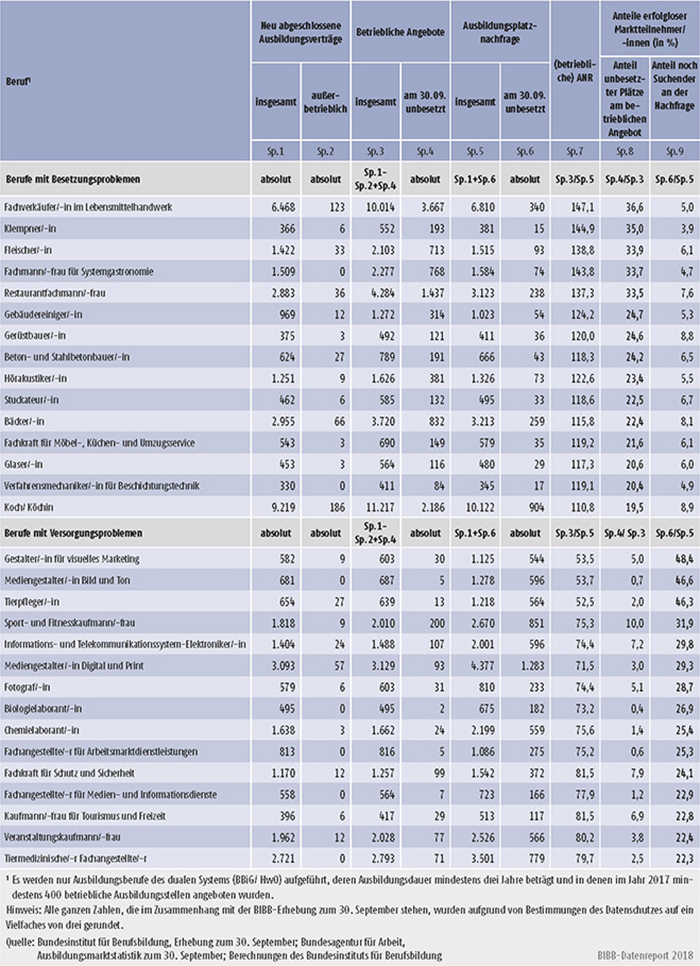 Tabelle A1.1.2-2: Berufe mit Besetzungs- und Versorgungsproblemen 2017