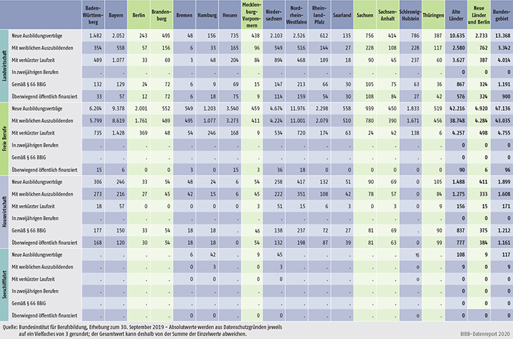 Tabelle A1.2-4: Neu abgeschlossene Ausbildungsverträge 2019 nach strukturellen Merkmalen (Teil 1 ― Fortsetzung)