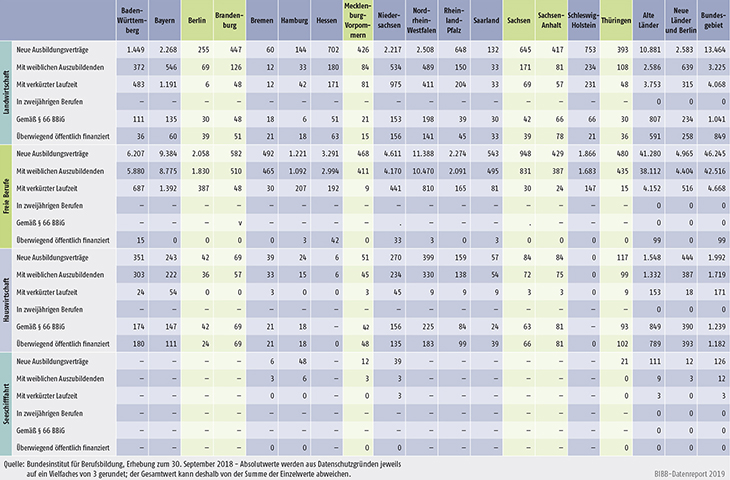 Tabelle A1.2-4: Neu abgeschlossene Ausbildungsverträge 2018 nach strukturellen Merkmalen (Teil 1 ― Fortsetzung)