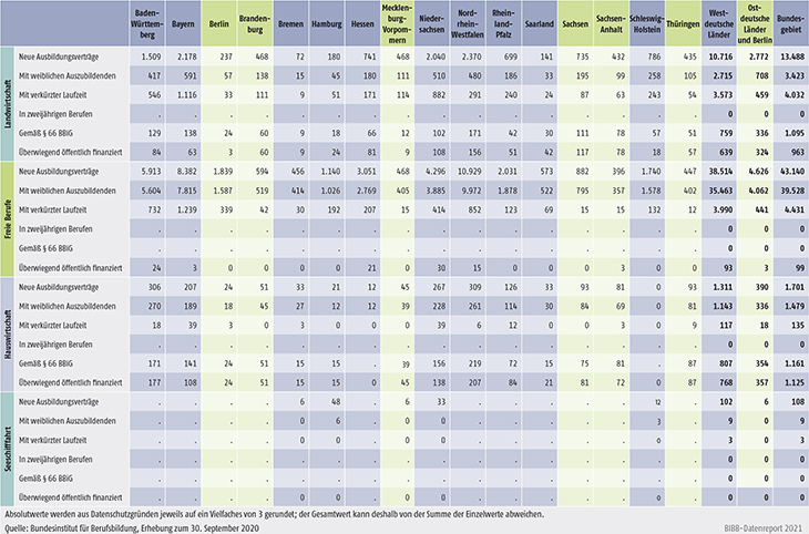 Tabelle A1.2-4: Neu abgeschlossene Ausbildungsverträge 2020 nach strukturellen Merkmalen (Teil 1 ― Fortsetzung)