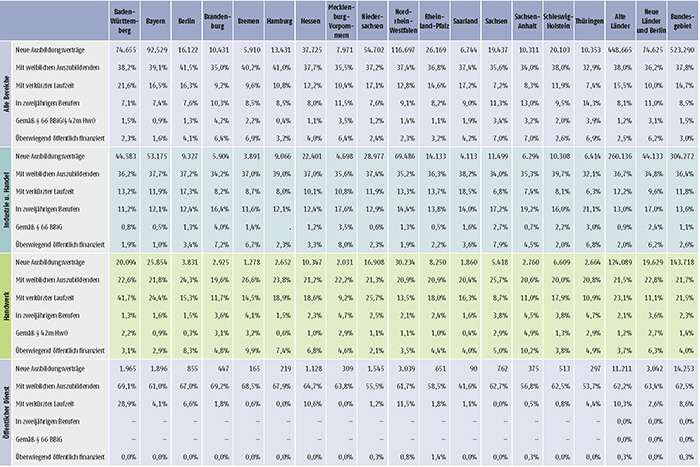 Tabelle A1.2-4: Neu abgeschlossene Ausbildungsverträge 2017 nach strukturellen Merkmalen (Anteil in %) (Teil 2)