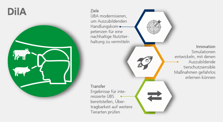 Grafische Darstellung der Ziele, Innovationen und Transferaktivitäten des INex-ÜBA-Projekts DilA.