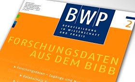 Forschungsdaten aus dem BIBB