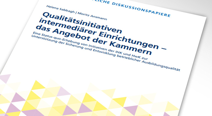 Qualitätsinitiativen intermediärer Einrichtungen