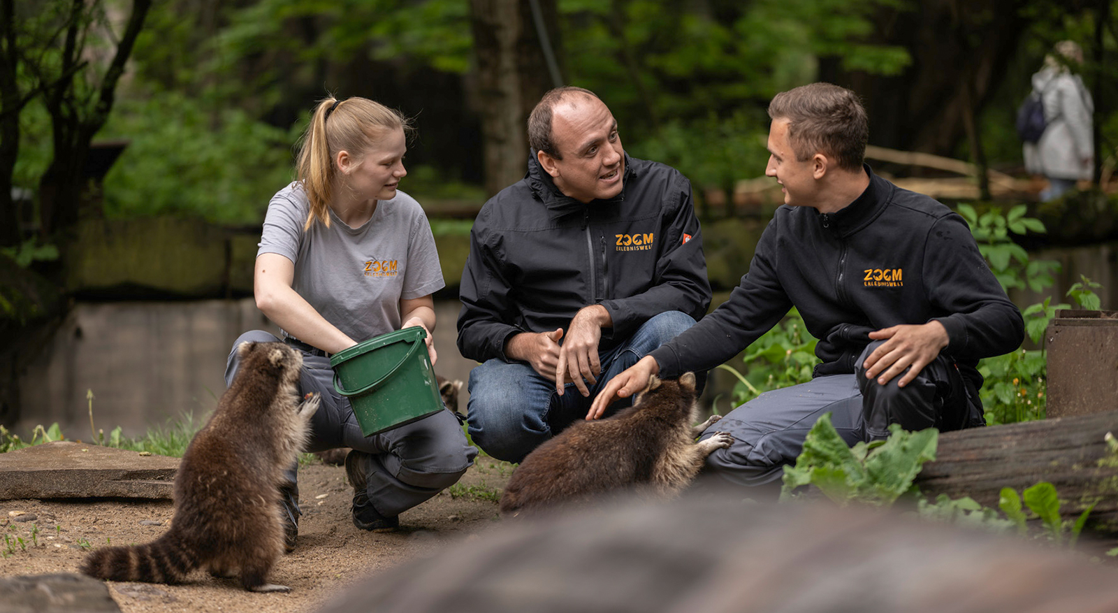 Drei Personen füttern hocken Tiere in einem Gehäge